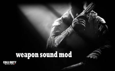 Call of Duty Black Ops 2 weapon sound