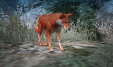 Wild Fox, скин дикой Лисы